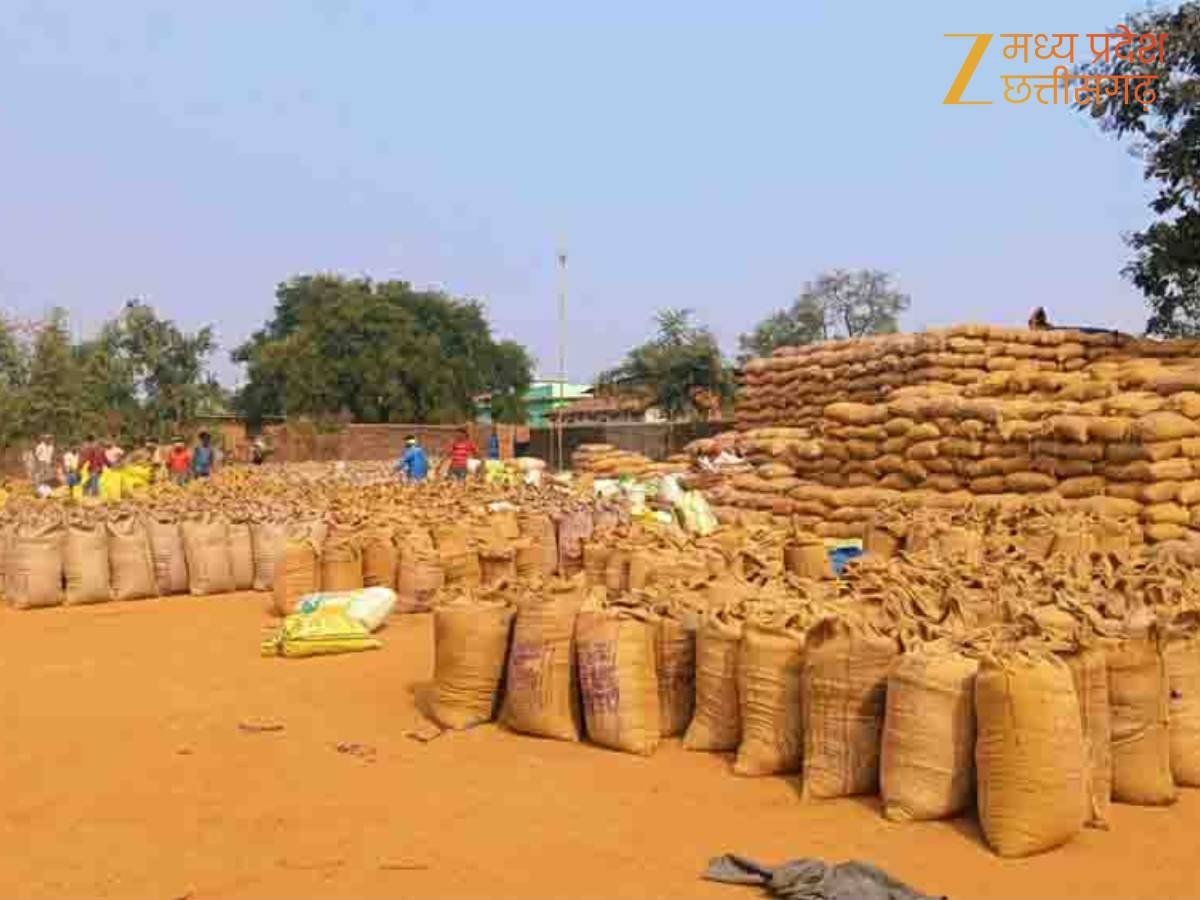 सूरजपुर - सावारांवा धान खरीदी केंद्र में करोड़ों का धान कम, सबसे बड़ा सवाल- भुगतान किसे हुआ...?